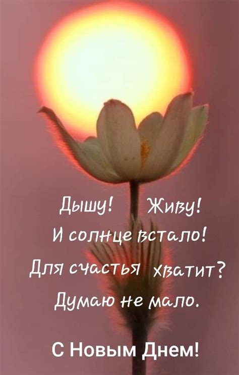 Pin by Наталья on доброе утро | Good morning cards, Good morning photos ...
