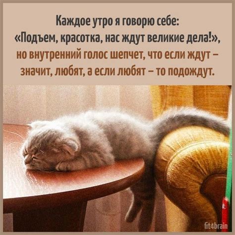 Картинки с добрым утром, и не только!!!!))😊😊🤗 — Разное | OK.RU | Funny ...