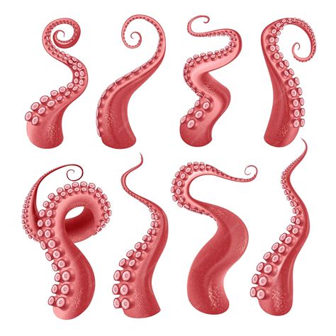 Free Vector | Red octopus or kraken tentacles with suckers realistic