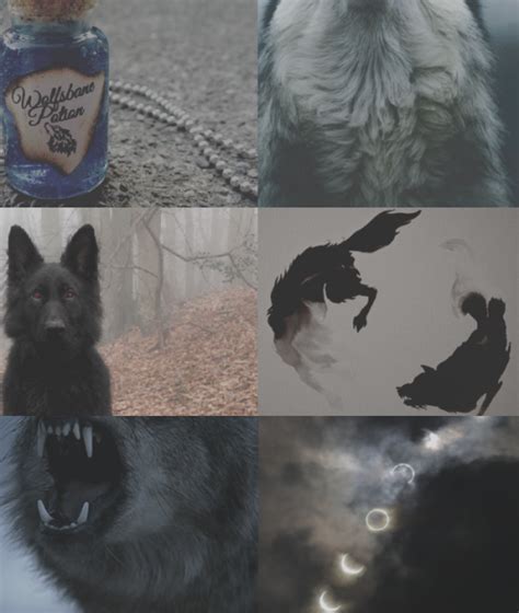 lycan on Tumblr