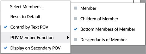 named pov  pov dimension options