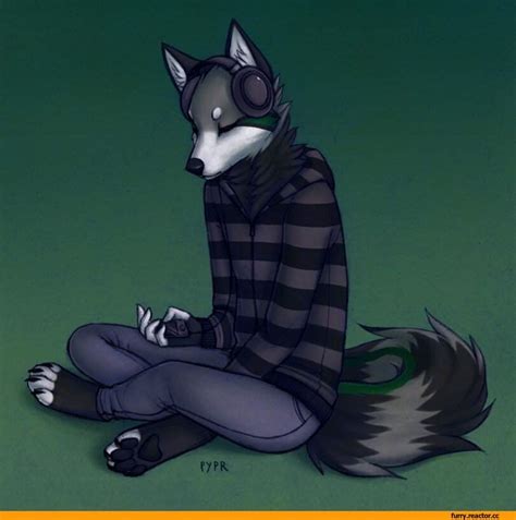 Волки | Wiki | 🐾🐺Род Волков🐺🐾 Amino