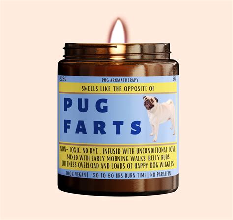 Do Pugs Fart