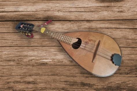 Mandoline ist Instrument des Jahres | DER SONNTAG (Sachsen)