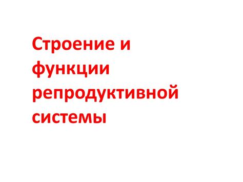 Строение и функции репродуктивной системы - презентация онлайн