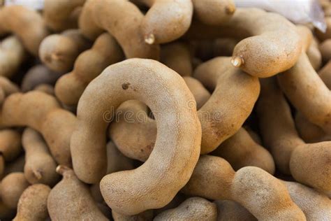 Group of Ripe Sweet Tamarind Pods Stock Photo - Image of brown ...