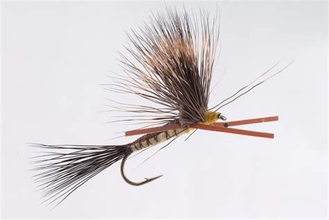brown drake comparadun natural sherpa flies