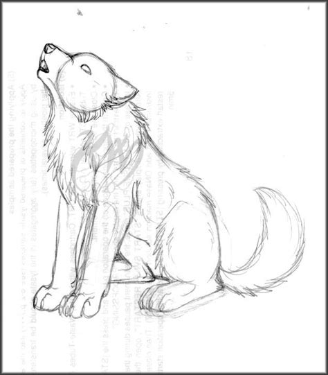 Wolf Howling Sketch at PaintingValley.com | Explore collection of Wolf ...