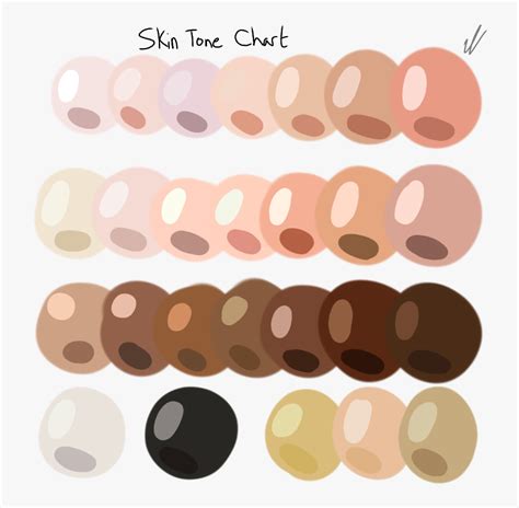 Skin Tone Reference Chart, HD Png Download - kindpng