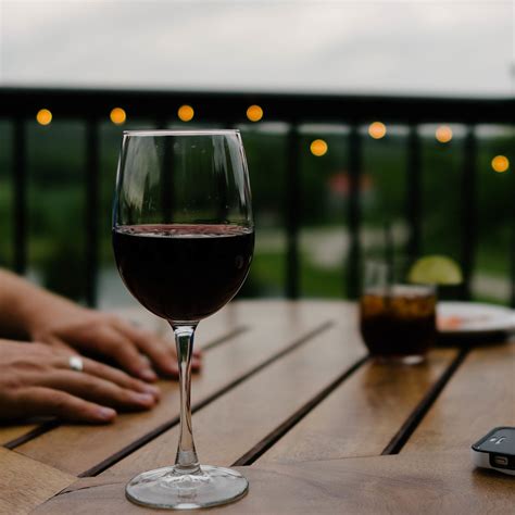 Claves para elegir tus copas de vino | Vivanco