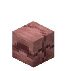 how to capture armadillo minecraft