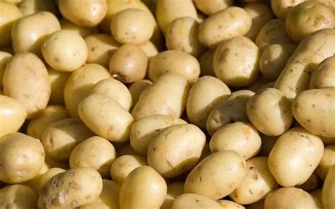 How to grow Potatoes indoors from Potatoes in Easy Ways?