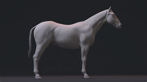 ArtStation - Realistic Horse by Darrell Abney