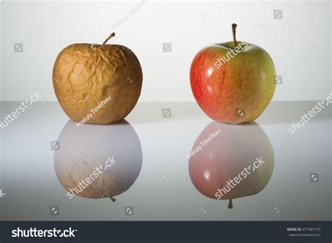 wrinkly fruit images stock   objects vectors