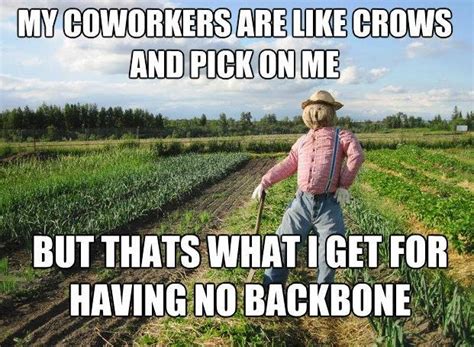 ScareCrowMeme - ROTW - 7 - Runt Of The Web