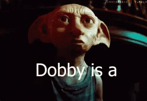 The popular Dobby GIFs everyone's sharing