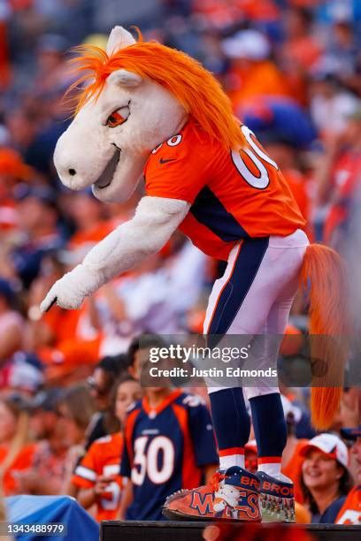 Denver Broncos Mascot Photos and Premium High Res Pictures - Getty Images