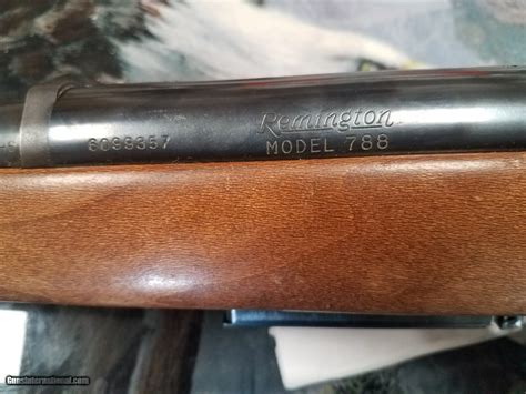 Remington 788 308