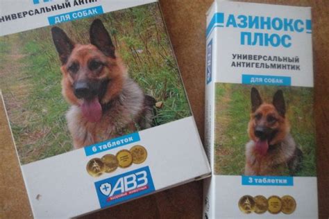 Азинокс Плюс для собак: инструкция по применению, цена, отзывы
