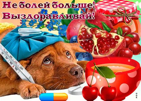 Открытки выздоравливай | ТОП Картинки