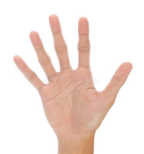 Mano fotografia stock. Immagine di maschio, corpo, commercio - 19121122