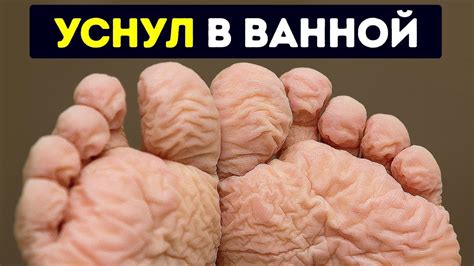 55 фактов о вашем теле, которые вас удивят - YouTube