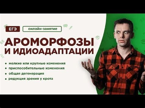Ароморфозы и идиоадаптации | ЕГЭ Биология | Даниил Дарвин - YouTube