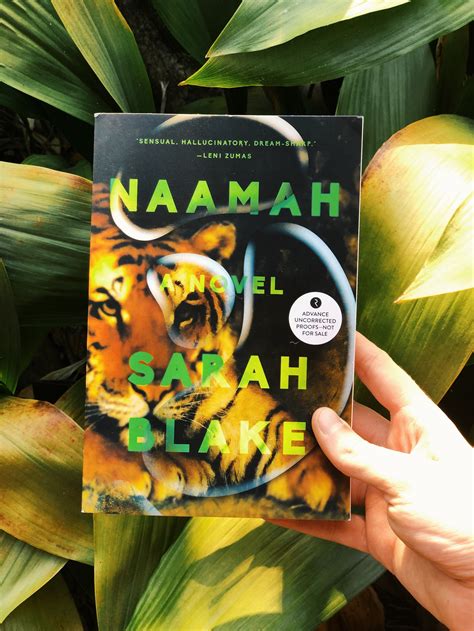 Naamah by Sarah Blake — Shelf By Shelf