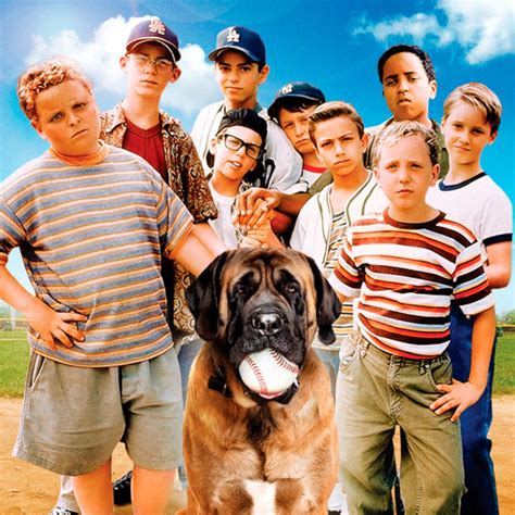 The Sandlot TV Show Set to Reunite Original Cast?!
