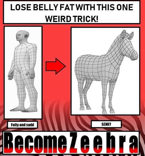 The best Zebra memes :) Memedroid