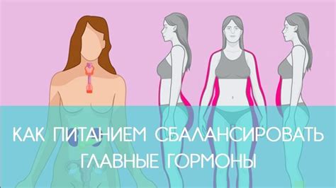 ГОРМОНЫ: Как питанием сбалансировать главные гормоны | ECONET.RU ...