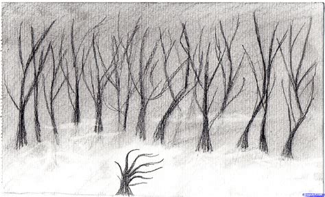 Simple Forest Drawing at PaintingValley.com | Explore collection of ...