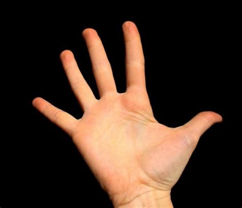 Создать мем "Ладонь (Ладонь, рука, left hand)" - Картинки - Meme ...