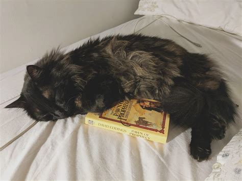 652 best u/alkethadea images on Pholder | Big Boobs GW, Alkethadea and