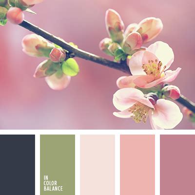 нежный персиковый цвет | IN COLOR BALANCE