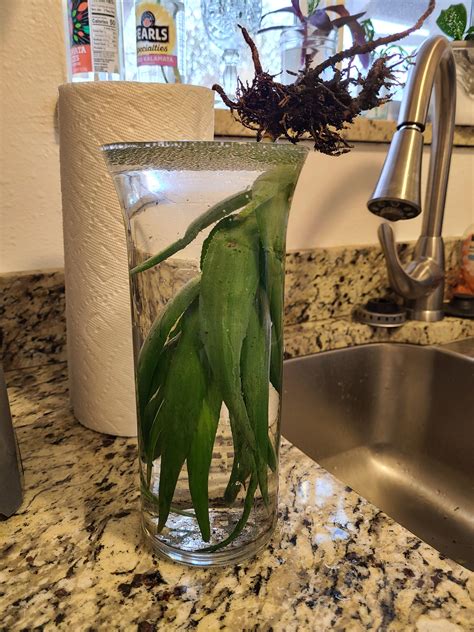 10000 best Goddesses images on Pholder | Goddesses, Worldbuilding and