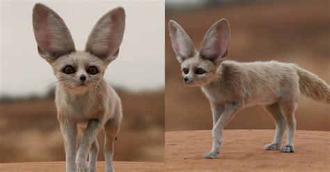 Grooming Fur For a Cute Fennec Fox in Houdini