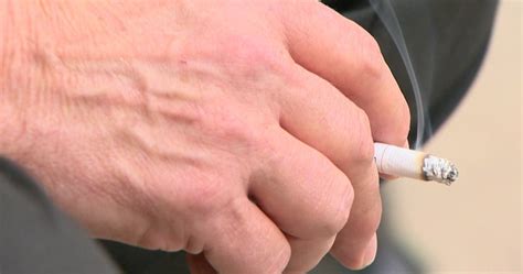 organizations call  saskatchewan government  update tobacco laws