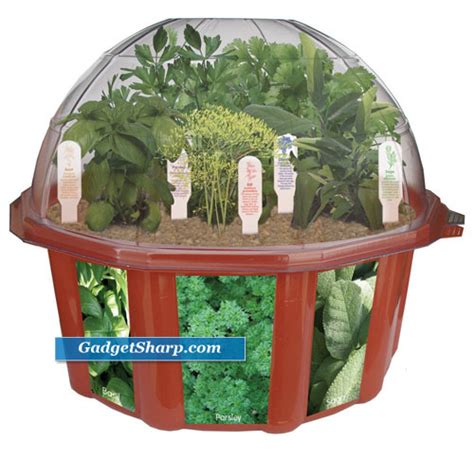 Best Indoor Herb Garden Kits | Gadget Sharp