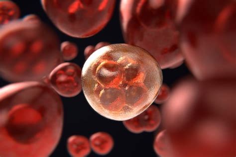 teori sel sel  unit dasar kehidupan