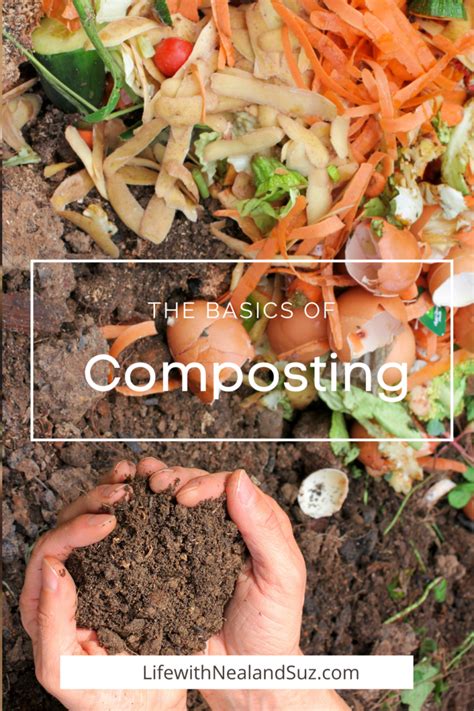 The Basics of Composing