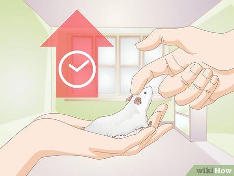 3 Ways to Tame a Mouse - wikiHow