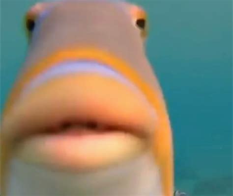 Fish | Roblox Goofy Runners Wiki | Fandom