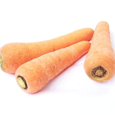 jual wortel carrot gr shopee indonesia