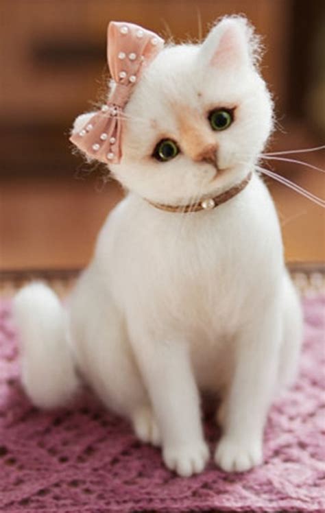 Котета - Торти Шамони