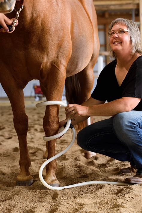 Drfbetscom bonuses are attracting a wave of new horse bettors 12