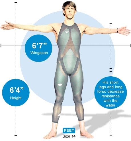 michael phelps  man   built    swimmer