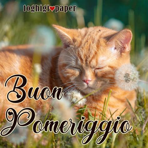 Buon pomeriggio ⋆ Toghigi♥Paper