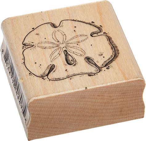 Amazon.com: Stamps by Impression ST 0617a Sand Dollar Rubber Stamp, 1.5 ...