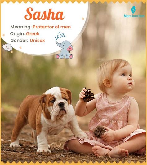 Sasha Name Meaning, Origin, History, And Popularity